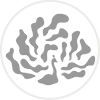Omexco logó