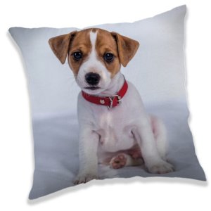 Kutyás Jack Russell párna, díszpárna 40x40 cm