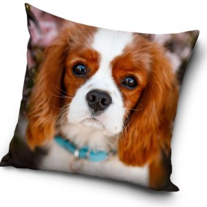 Kutyás Visage párnahuzat 40x40 cm