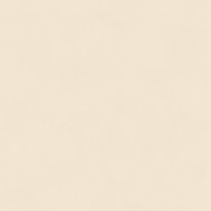 COLORYTHM BLONE COLOR Tapéta (1,06 m x 10,05 m), halvány púder