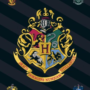 Harry Potter Black polár takaró 100x140cm