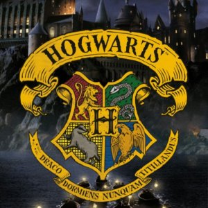Harry Potter Sorting fürdőlepedő, strand törölköző 70x140cm