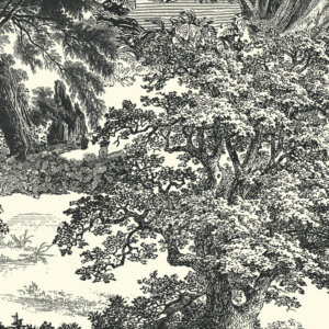 WALL DESIGNS ANGOL TÁJKÉP Tapéta (1,27m x 3,00m), fekete-fehér