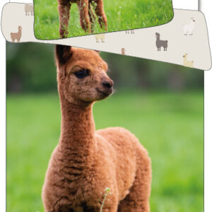 Láma Field ágyneműhuzat 140×200cm, 70×90 cm