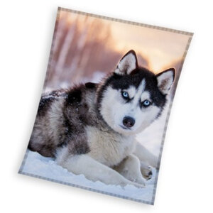 Kutyás Husky coral fleece polár takaró 150x200cm