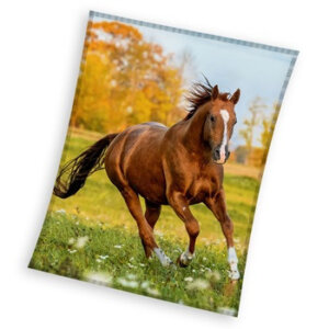 Lovas Gallop coral fleece polár takaró 150x200cm