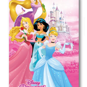 Disney Hercegnők Castle polár takaró 100x140cm