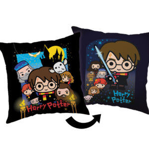 Harry Potter Friends párna, díszpárna 40x40 cm
