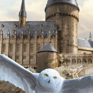 Harry Potter Hedwig Fly strandtörölköző, fürdőlepedő 70×140 cm